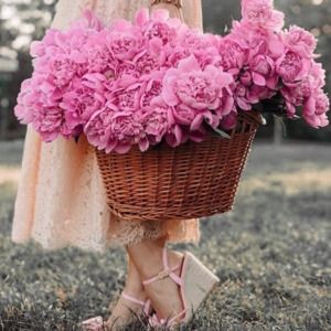 Meet your Posher, Vanessa